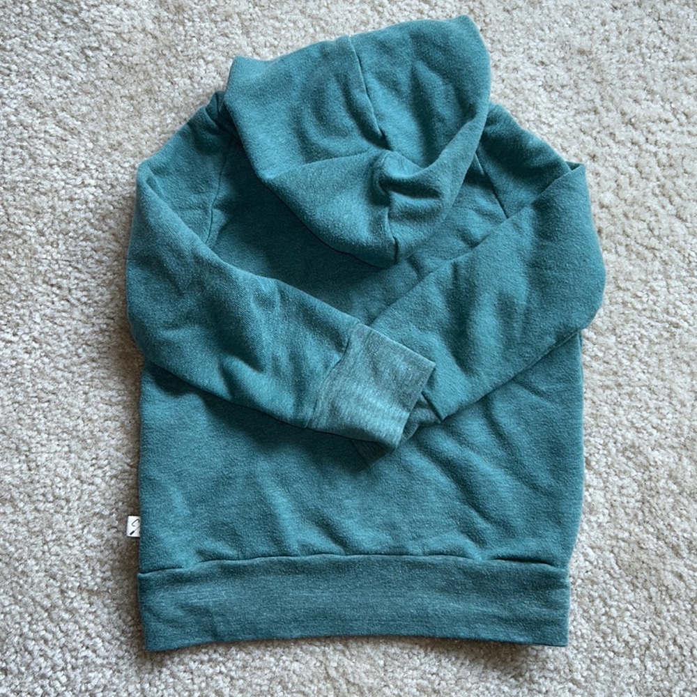 Childhoods size 2T Green Hoodie